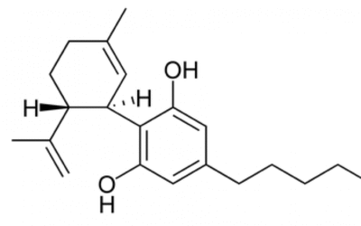 CBD – što je to, za što se koristi i kako nam može pomoći?
