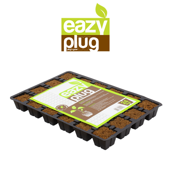 EAZY PLUG 24