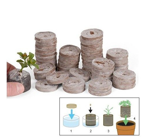 JIFFY COCO 4.5 cm