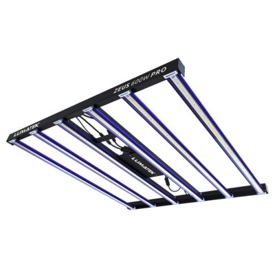 ZEUS 600W PRO LED 2.9
