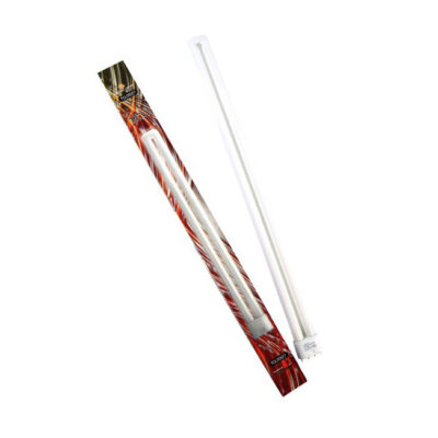 SJ TCL 55W BLOOM 2100K